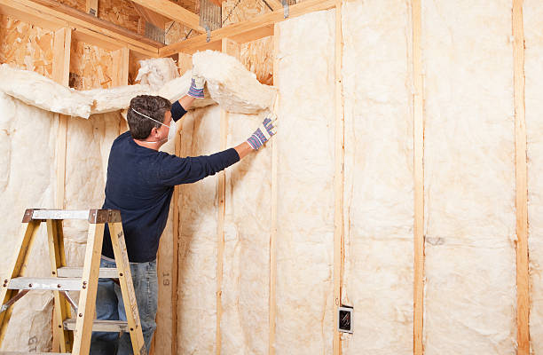 Professional Insulation Services in Centennial Park, AZ